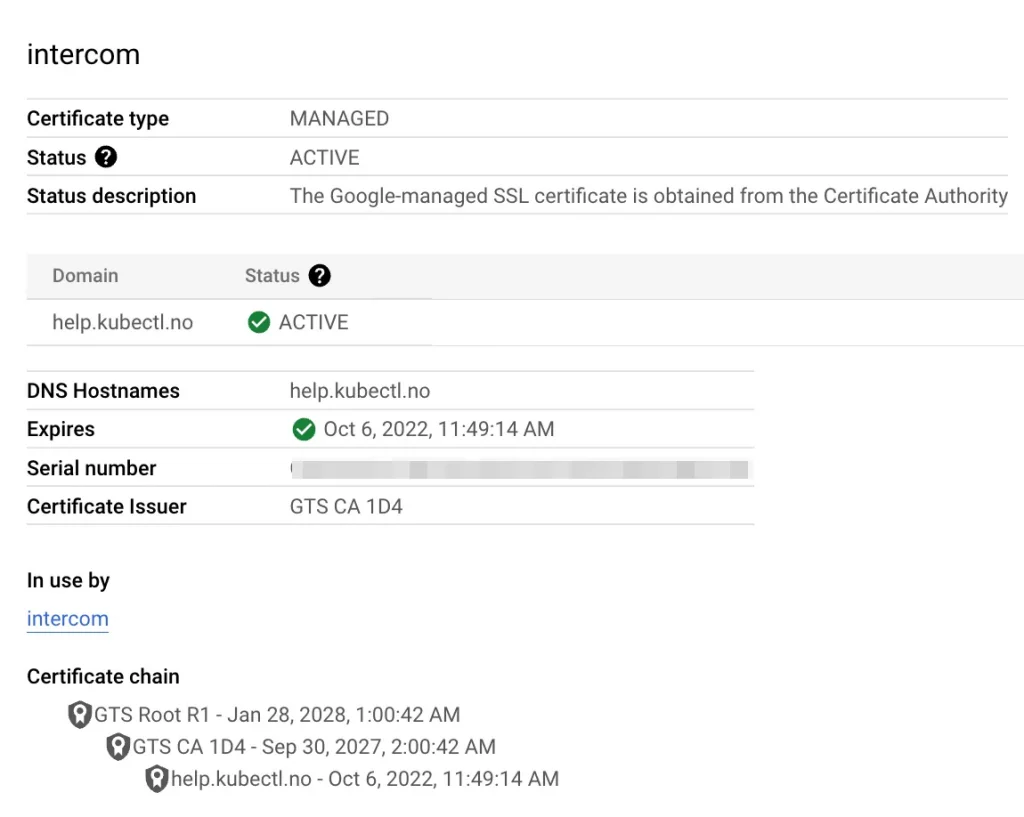 Article Custom Intercom domain using GCP 3