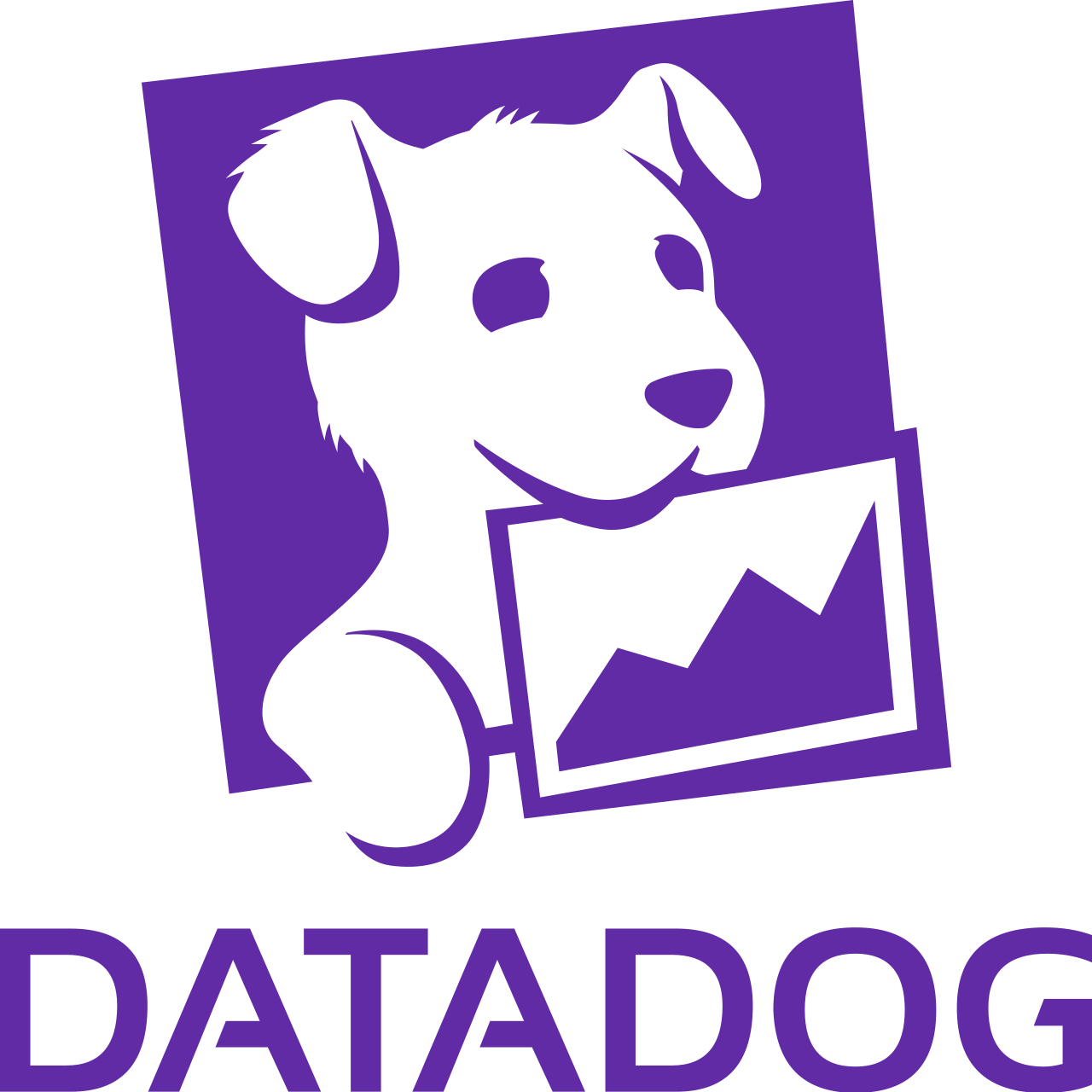 About us 2 Selected Tool Datadog Logo